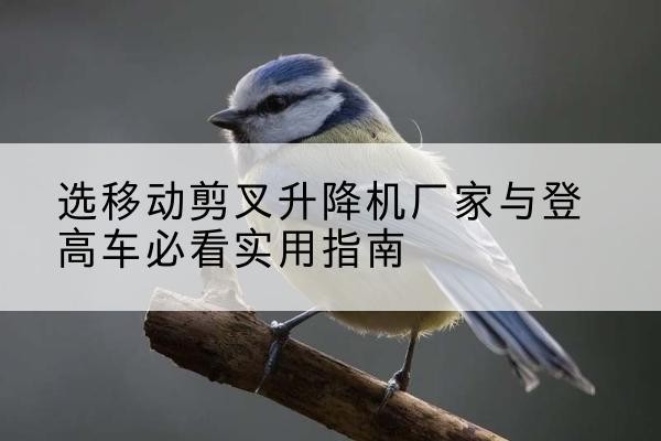 青阳电动升降机厂家-选移动剪叉升降机厂家与登高车必看实用指南