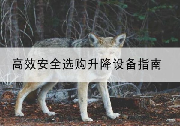 青阳升降货梯厂家推荐-*安全选购升降设备指南