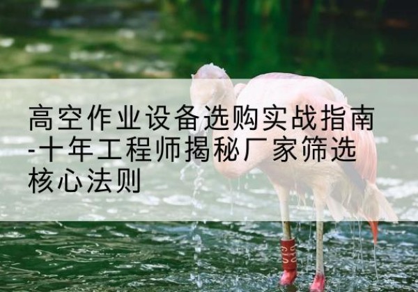 青阳剪叉式升降机厂家-高空作业设备选购实战指南-十年工程师揭秘厂家筛选核心法则